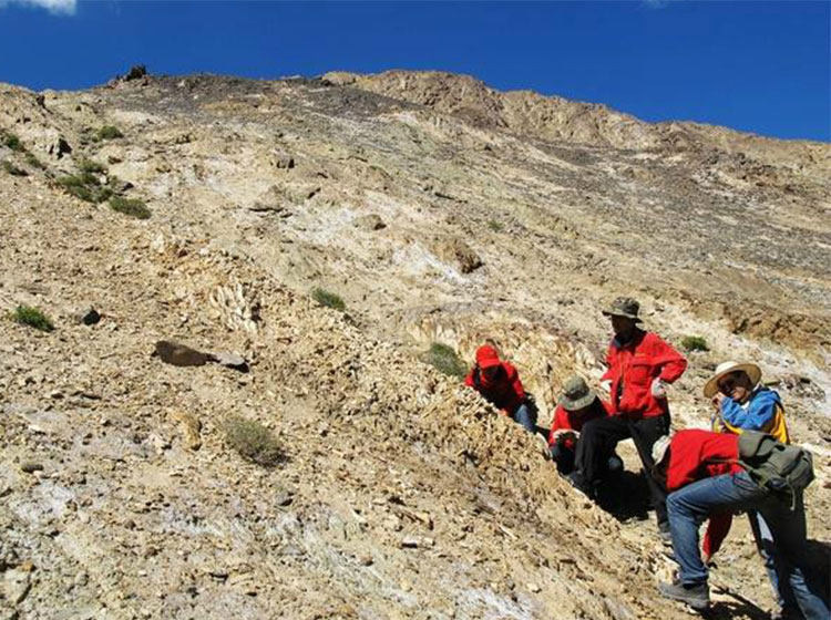 为何重启新一轮找矿行动